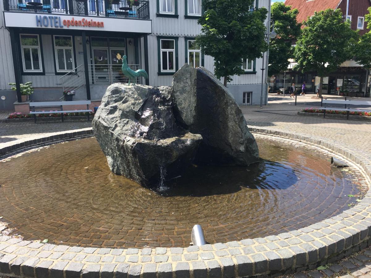 Apartment Am Lift Goslar Zewnętrze zdjęcie